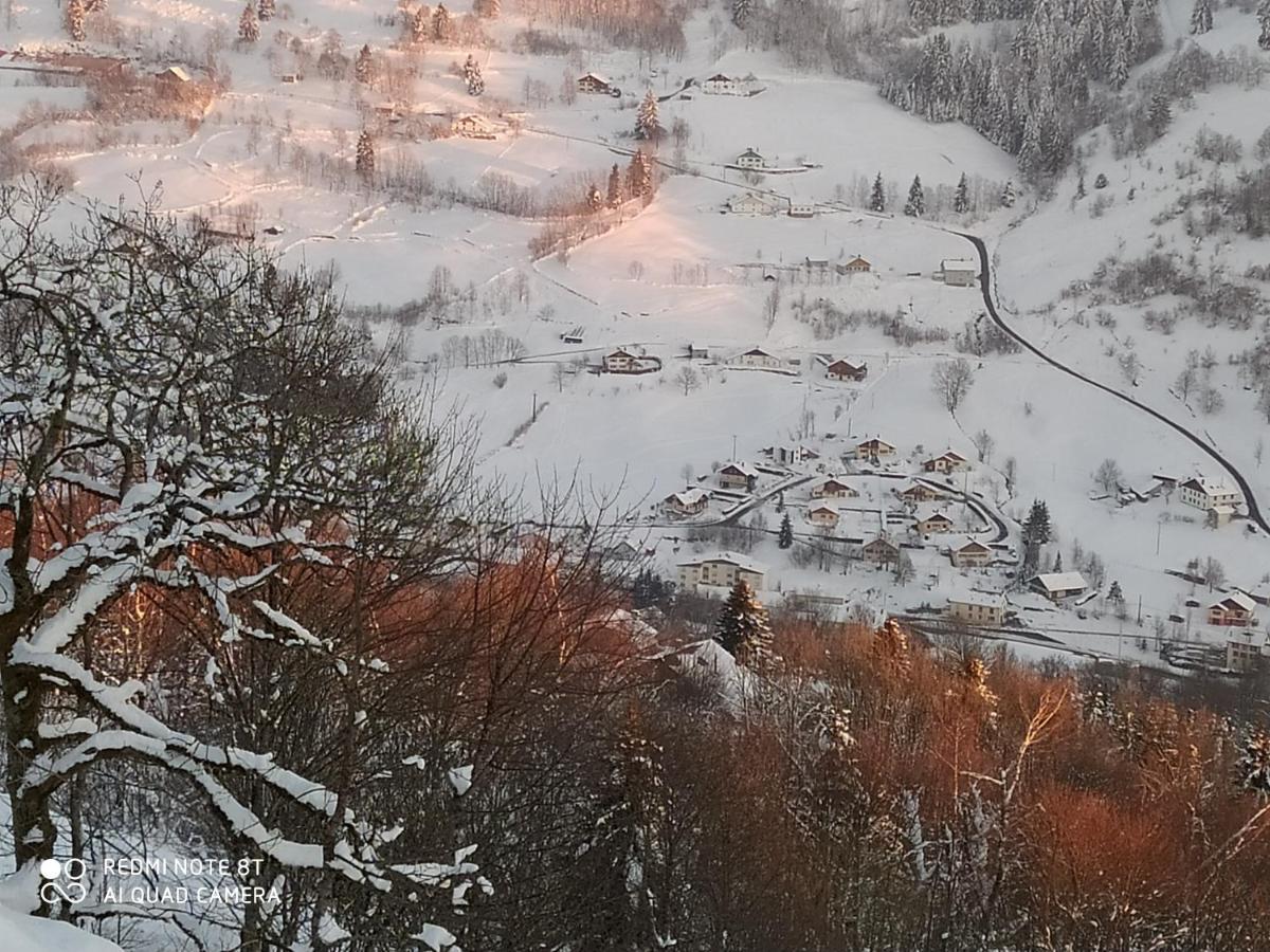 Appartement Maison Vosgienne La Bresse Centre Zewnętrze zdjęcie